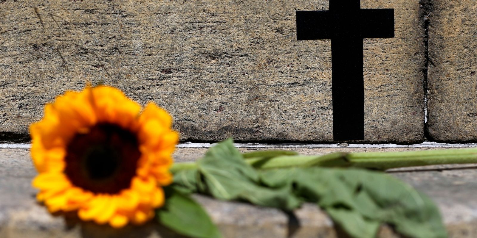 Em SP, feminicídios crescem 41% e violações de medidas protetivas aumentam 31,9%