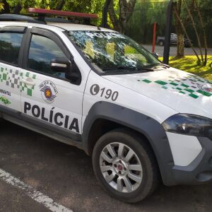 Homem é preso em Ibaté por maus-tratos a animais após descoberta de 136 animais mortos em fazenda