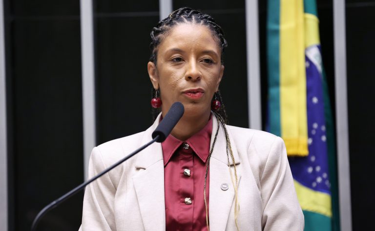 Ministra da Igualdade Racial: demarcação de terras quilombolas é prioridade de Estado