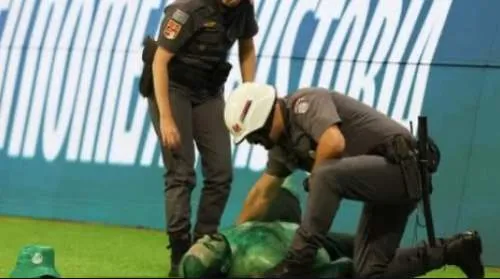 STJD recebe denúncia contra Palmeiras por invasão de torcedor