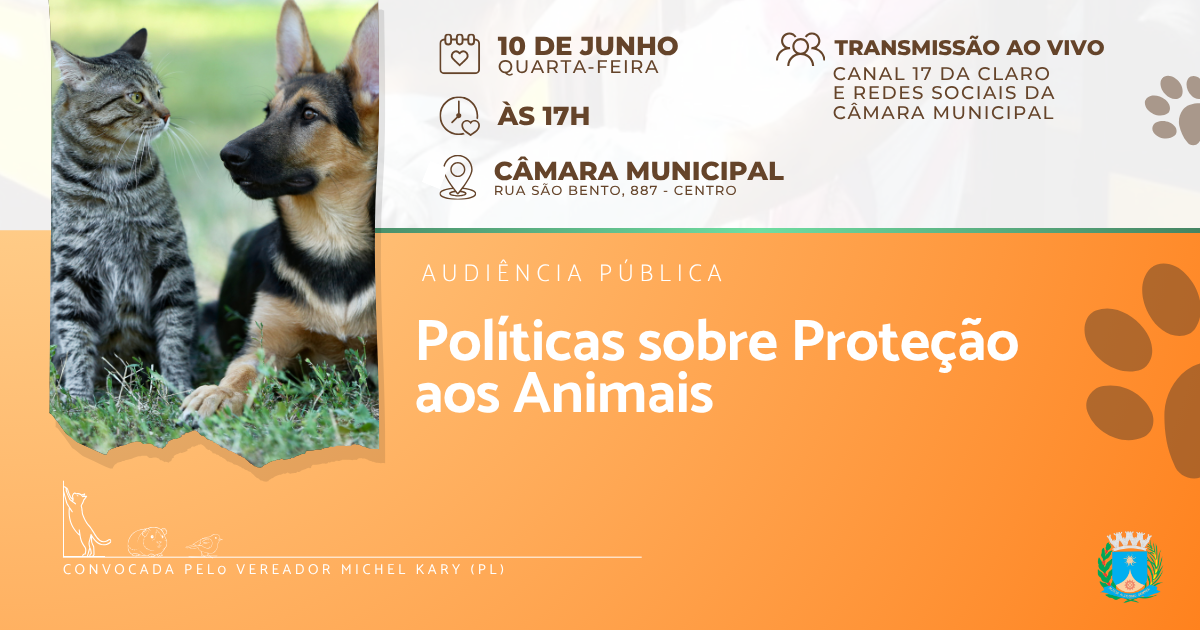 Câmara municipal sediará audiência pública para debater proteção animal no município