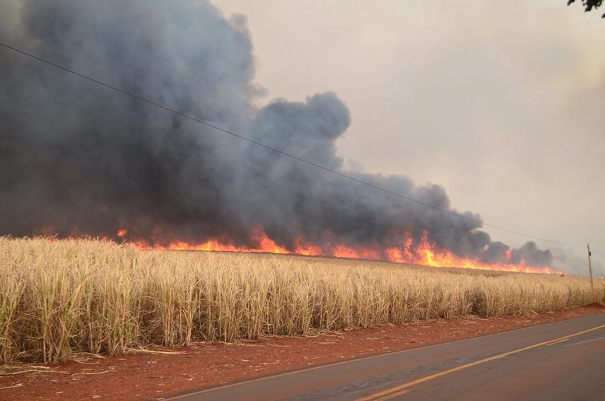 Defesa Civil de Araraquara e Fundação ITESP intensificam prevenção de incêndios