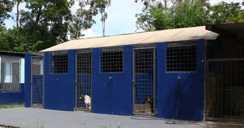 Solicitação de acesso simplificado ao cadastro de castração e Bem-Estar Animal no site da Prefeitura