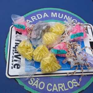 Guarda Municipal de São Carlos apreende expressiva quantidade de drogas escondidas no Jardim Jacobucci