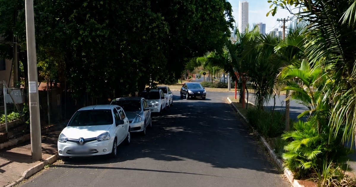 Vereador apresenta indicação para poda de árvores em via do Jardim Residencial Paraíso