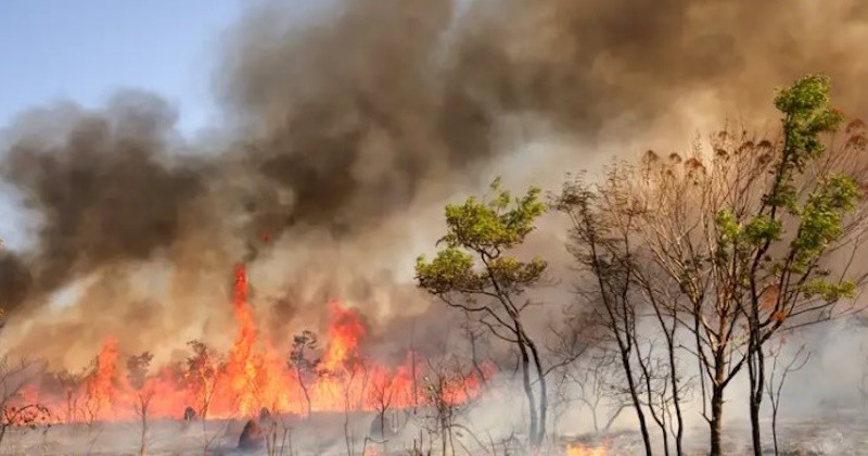 Indicações parlamentares sugerem central de monitoramento ambiental e projeto de prevenção de incêndios