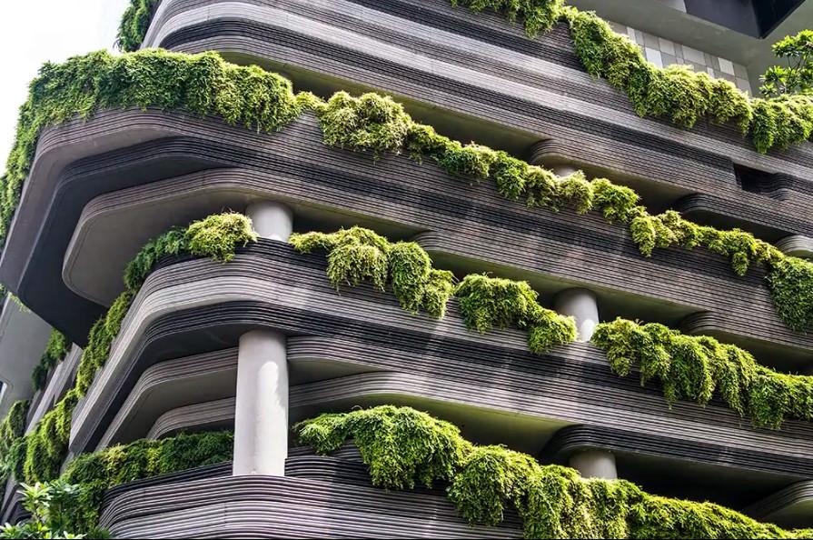 Mercado de alto padrão: luxo e sustentabilidade