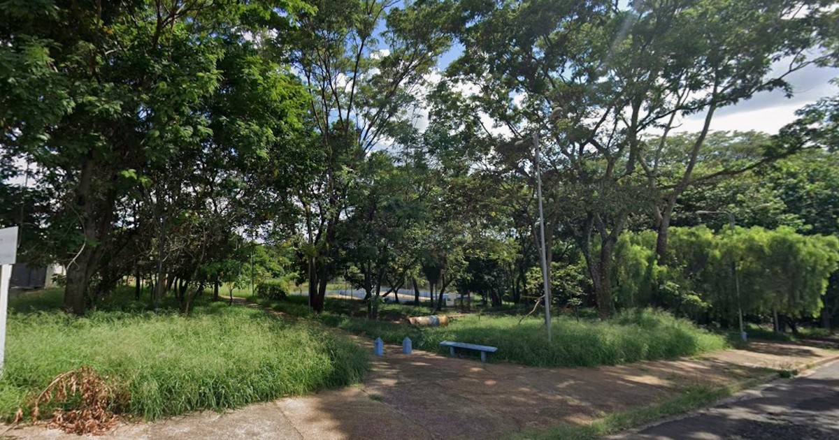 Moradores dos Bosques Maçônico e Rotário clamam por roçagem e soluções contra o descarte irregular