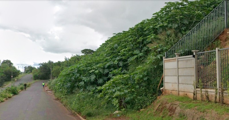 Moradores do Jardim Paraíso solicitam serviços essenciais em área próxima a condomínio