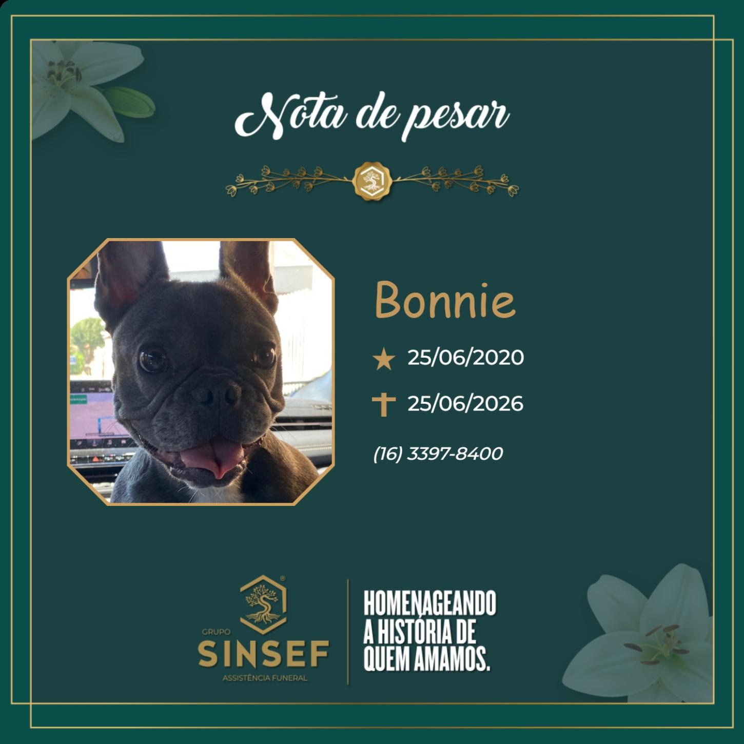 O Grupo Sinsef se despede da Bonnie