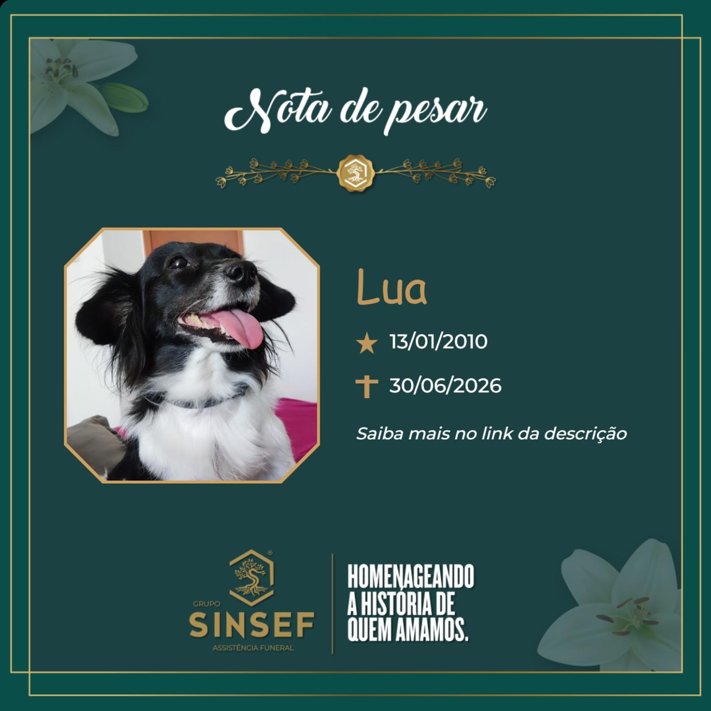 O Grupo Sinsef se despede da Lua