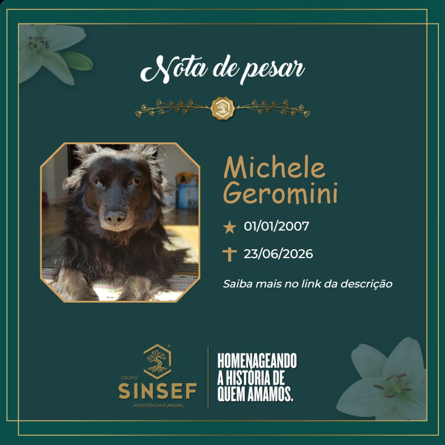 O Grupo Sinsef se despede da Michele