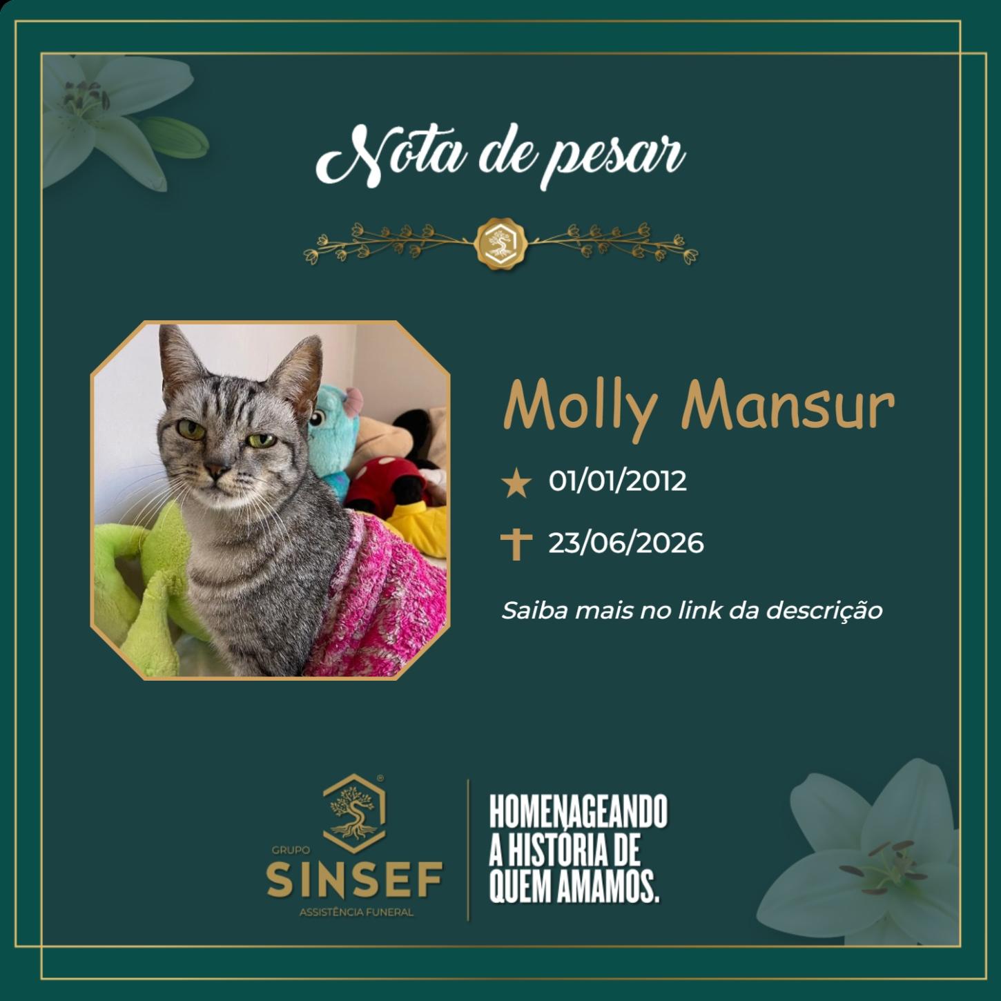 O Grupo Sinsef se despede da Moly
