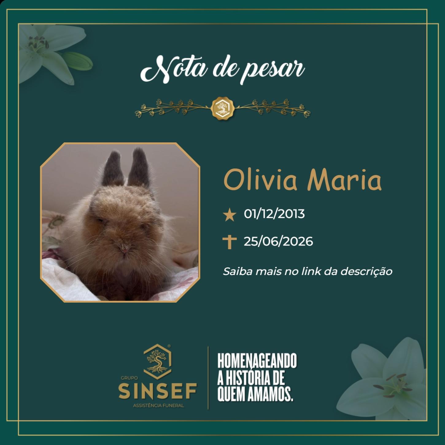 O Grupo Sinsef se despede da Olivia Maria