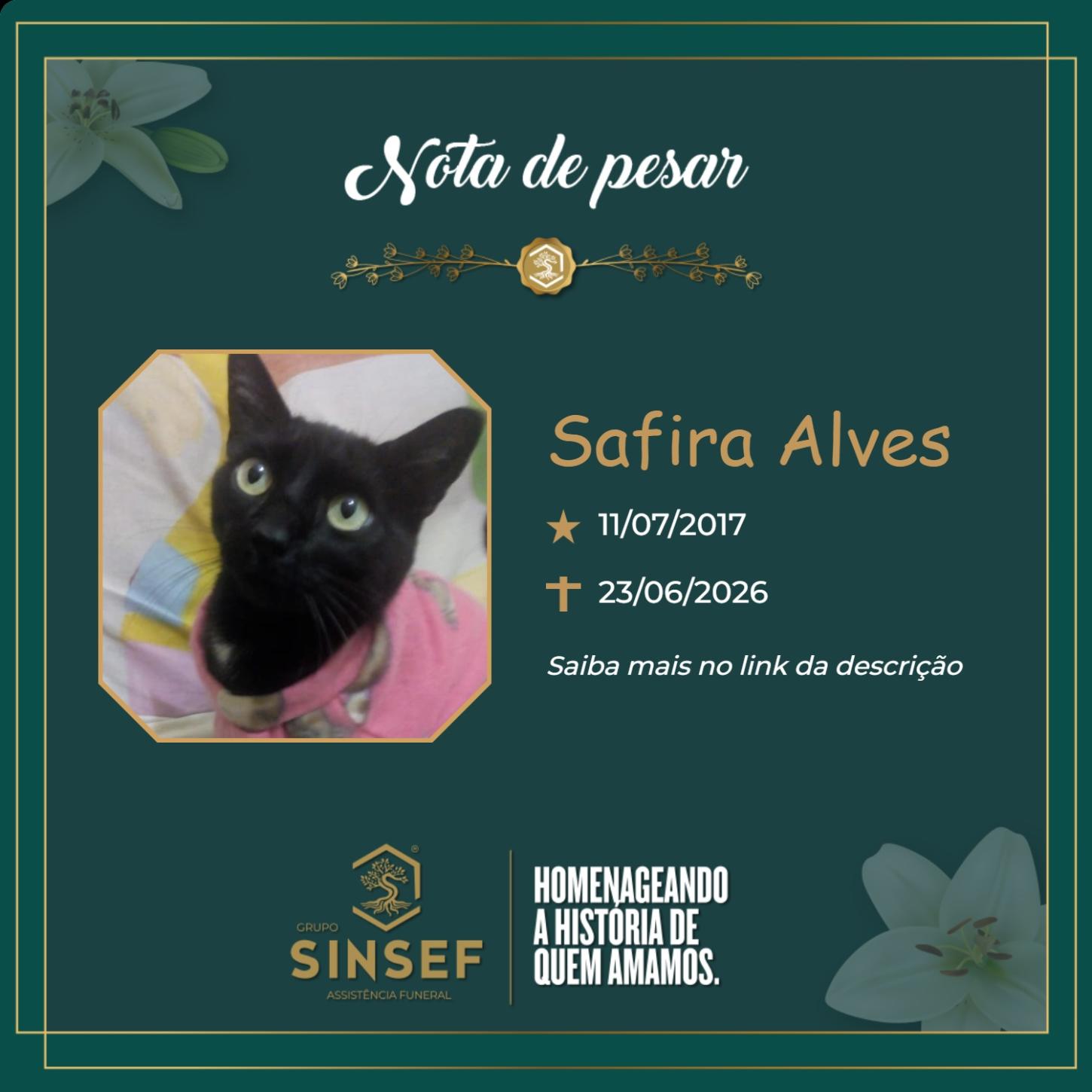 O Grupo Sinsef se despede da Safira
