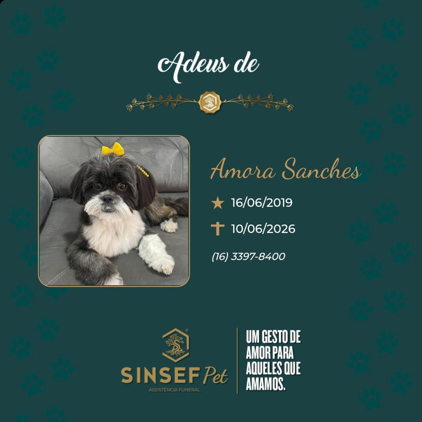 O Grupo Sinsef se despede de Amora Sanches 