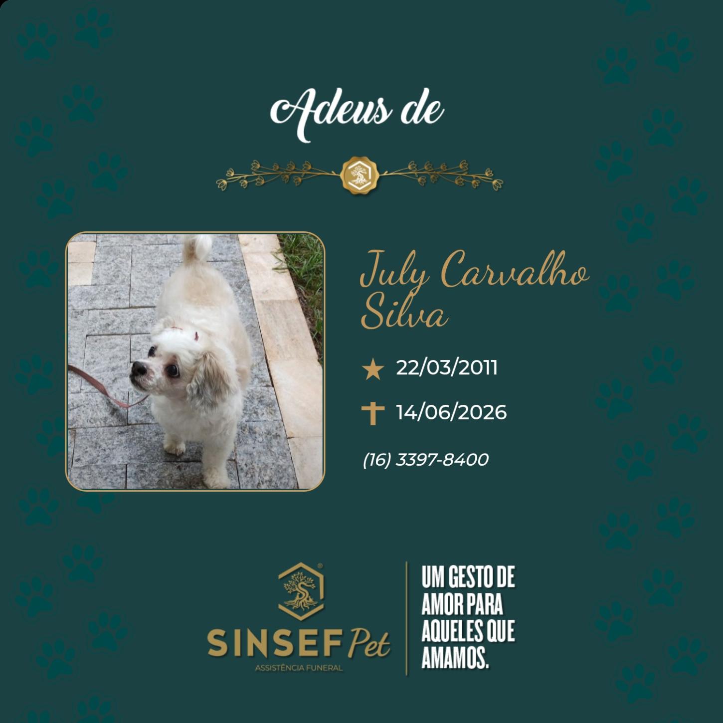 O Grupo Sinsef se despede de Julie Carvalho Silva 