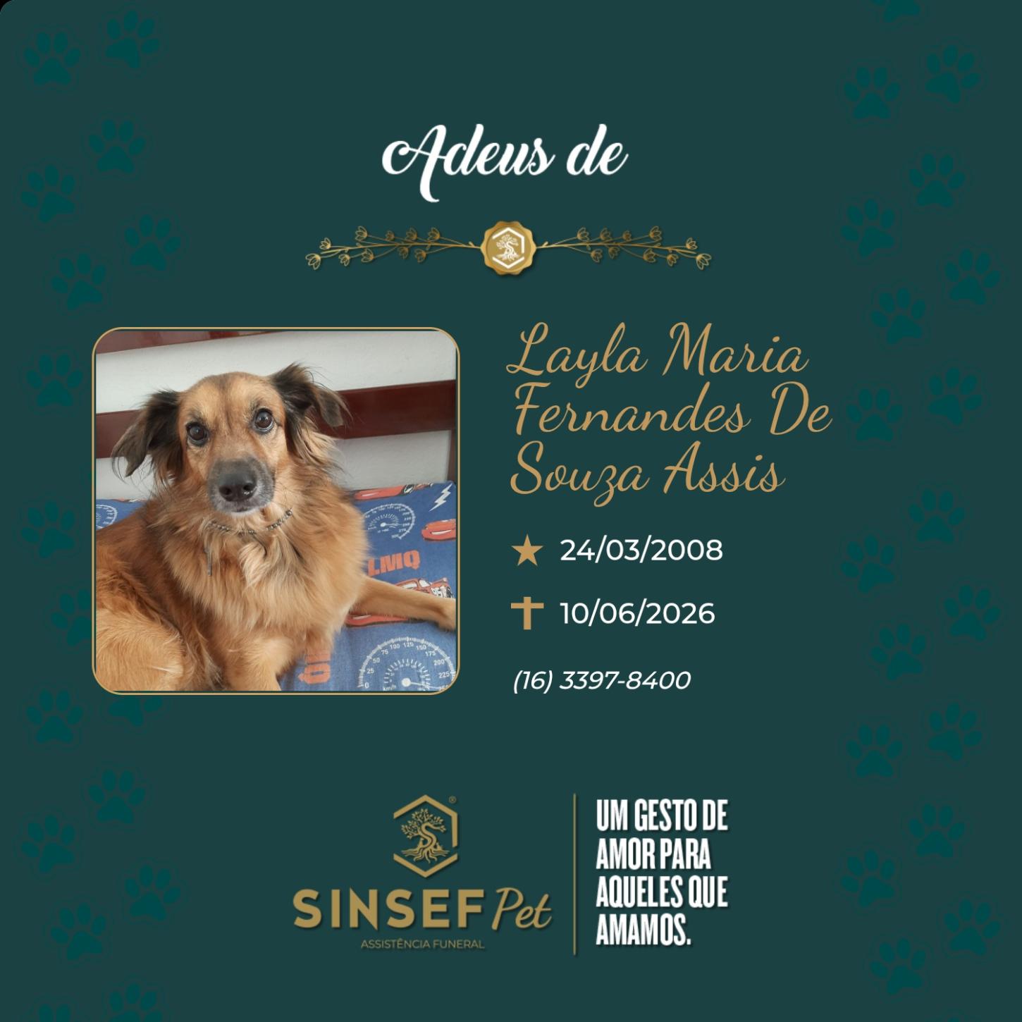 O Grupo Sinsef se despede de Layla Maria Fernandes de Souza Assis
