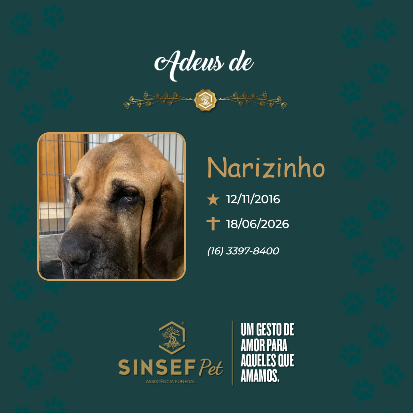 O Grupo Sinsef se despede de Narizinho