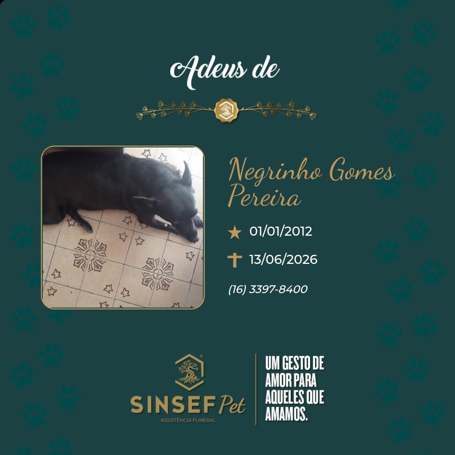O Grupo Sinsef se despede de Negrinho Gomes Pereira 