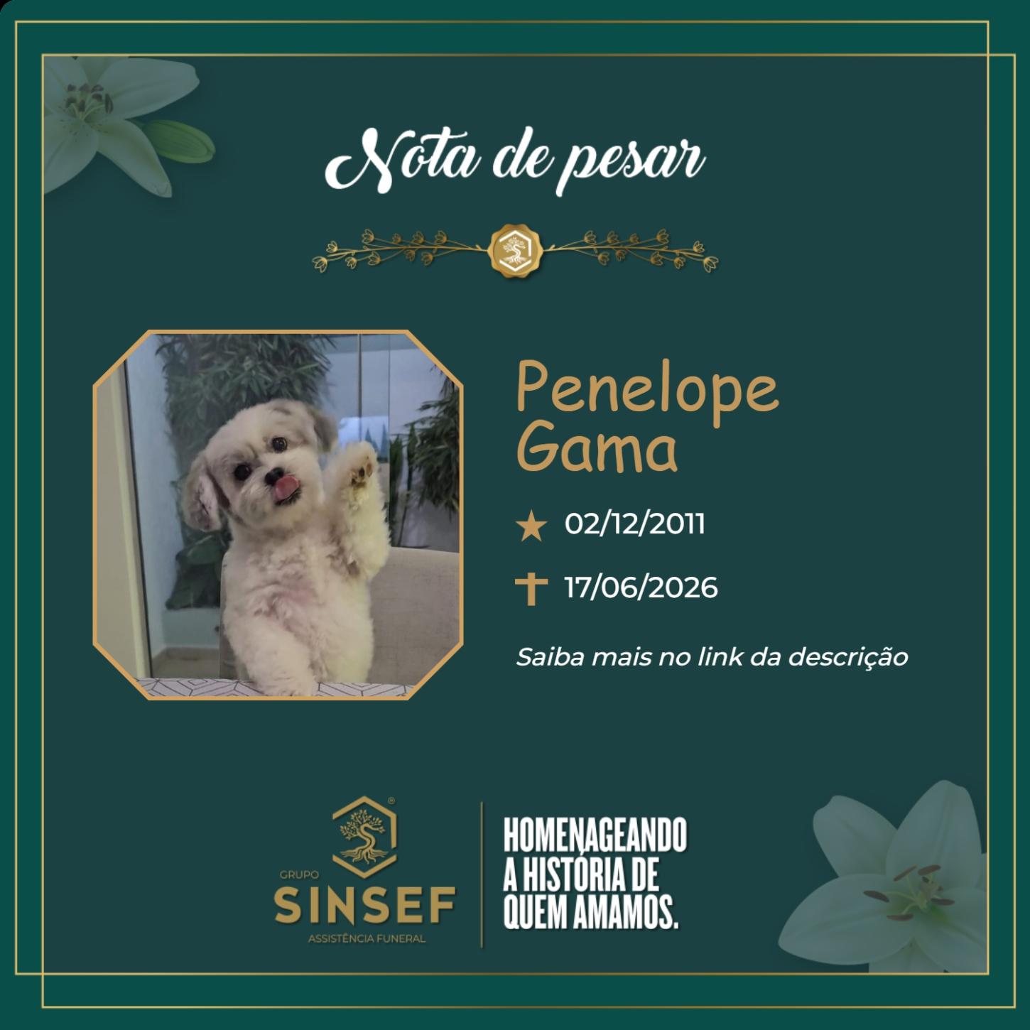 O Grupo Sinsef se despede de Penélope Gama