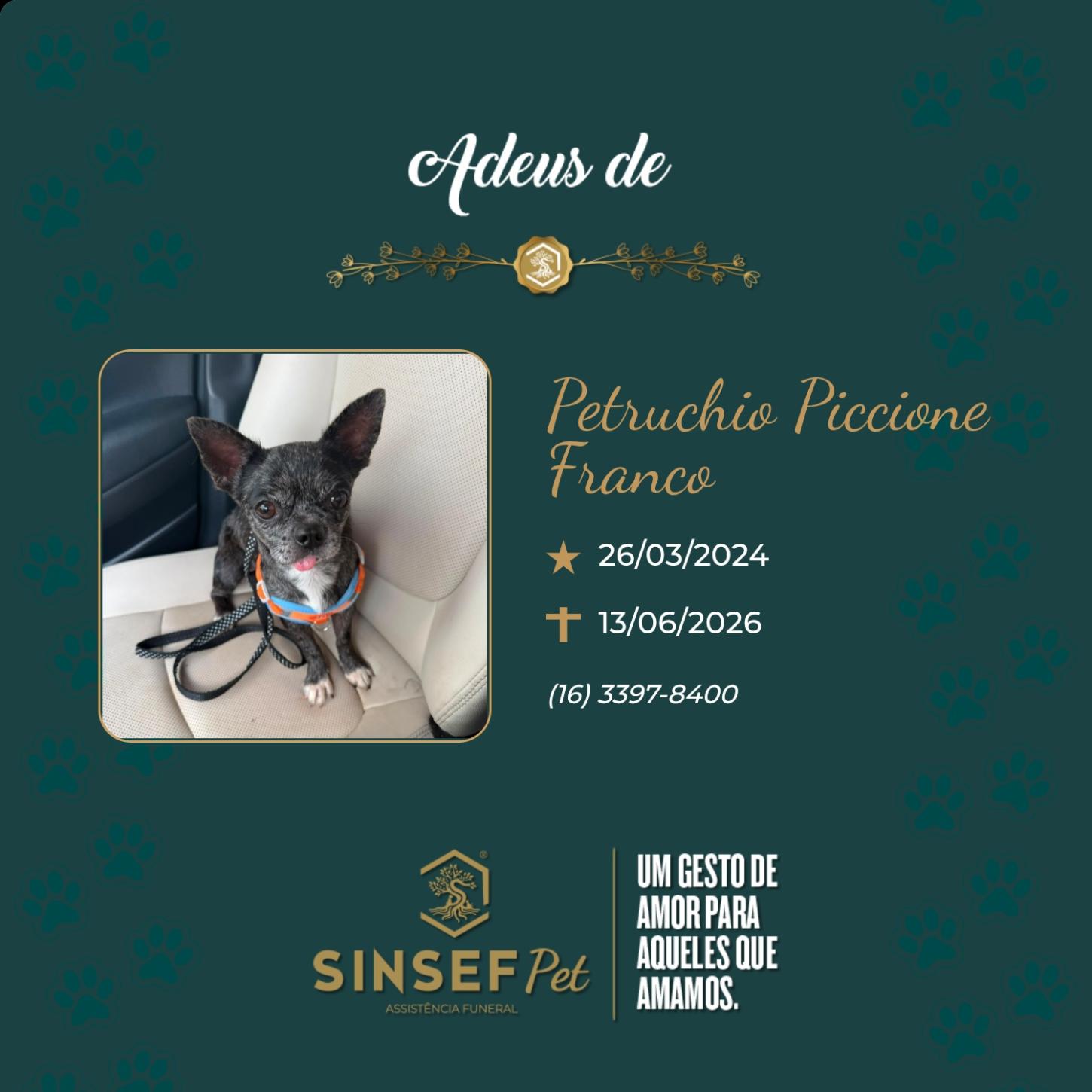 O Grupo Sinsef se despede de Petruchio Piccione Franco 