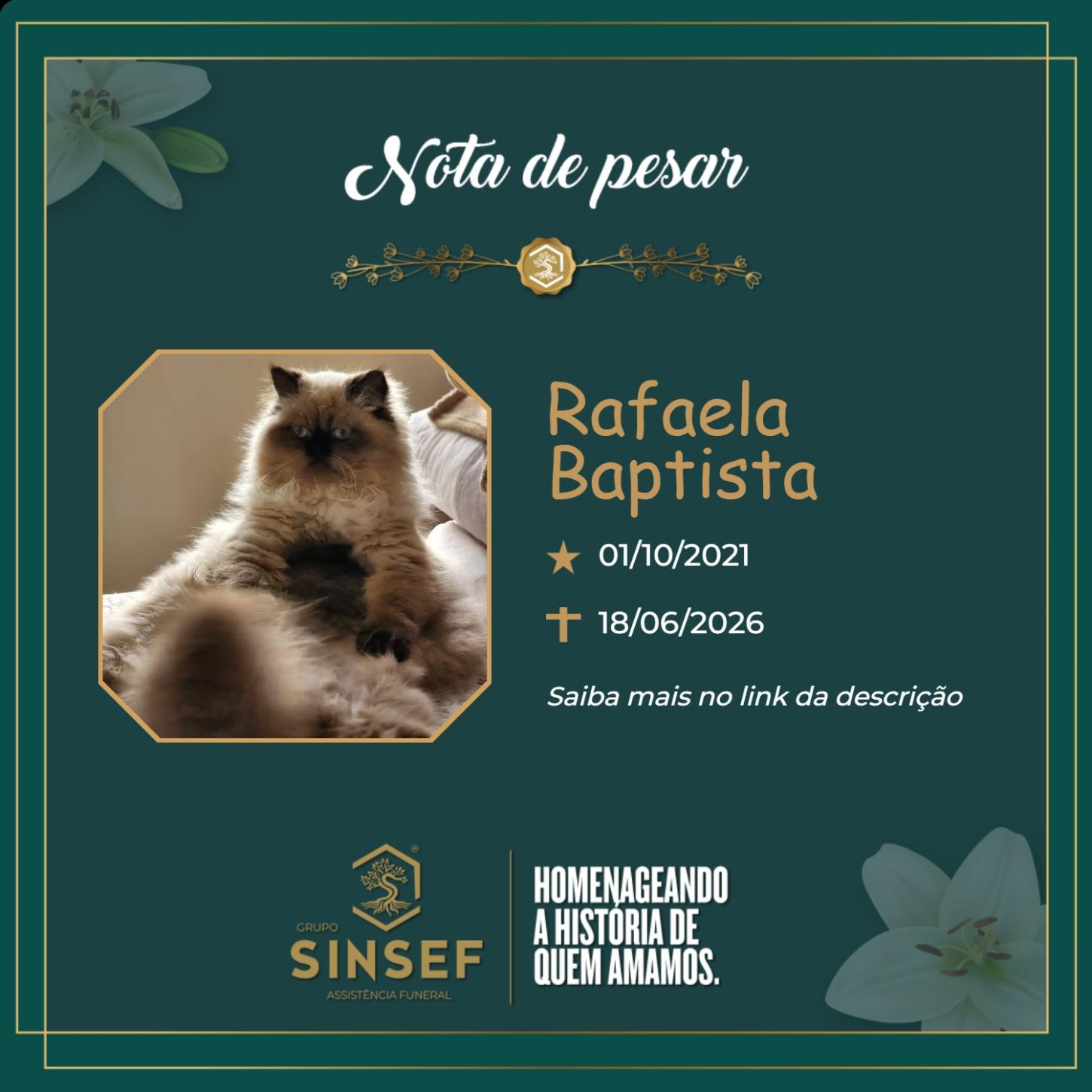 O Grupo Sinsef se despede de Rafaela Baptista