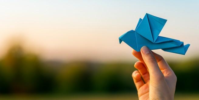 Oficina de origami convida público a explorar a arte das dobraduras em Araraquara