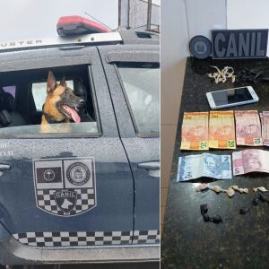 Guarda Municipal prende homem com drogas e mandado de prisão em aberto perto da rodoviária de São Carlos