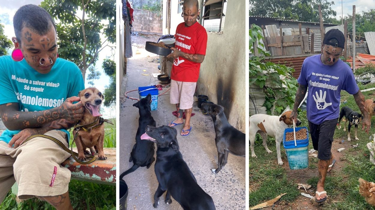Adriano Lemos cuida de cem cães e gatos em Itirapina e busca criar abrigo próprio