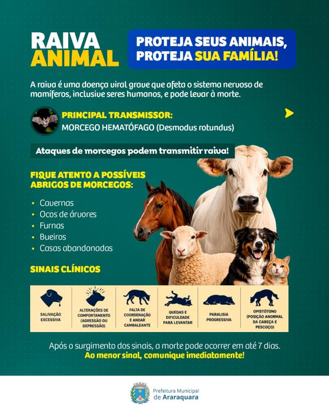 Raiva em animais: Defesa Agropecuária reforça medidas de prevenção e canais de notificação