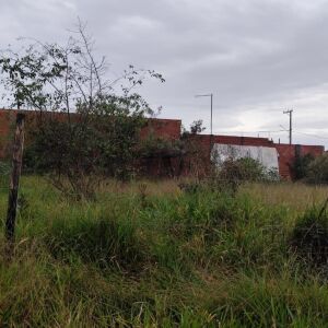 Suspeito de roubo morre em confronto com a Força Tática em Ibaté