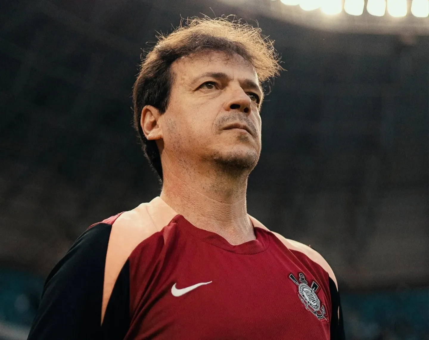Diniz: 