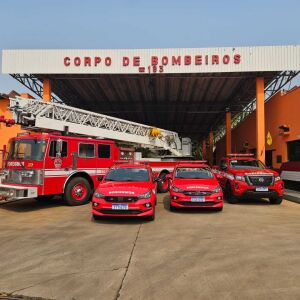 Bombeiros de São Carlos reforçam atendimento em Ribeirão Preto após temporal