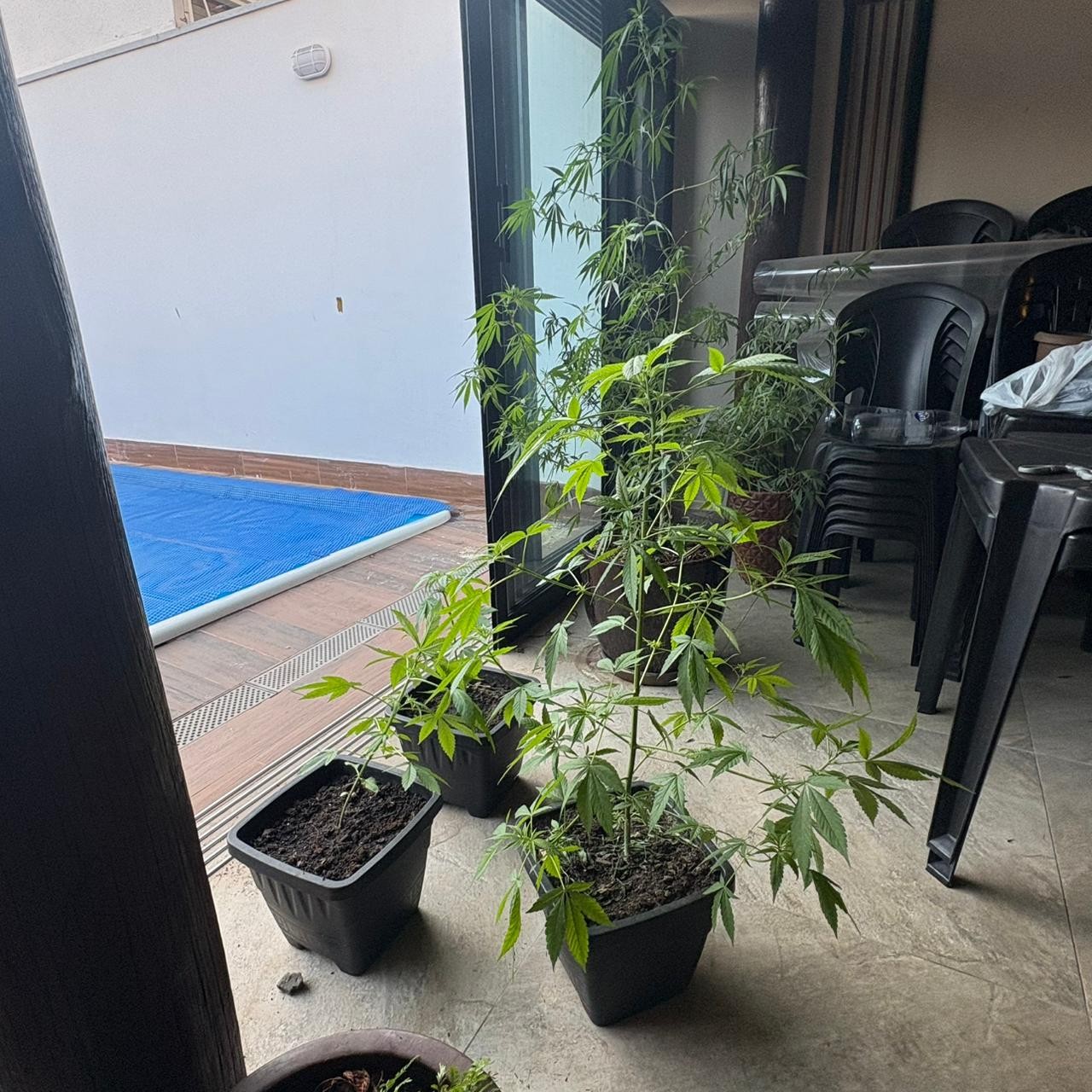 Gaeco desarticula laboratório de refino de cocaína ligado ao Comando Vermelho no interior de SP