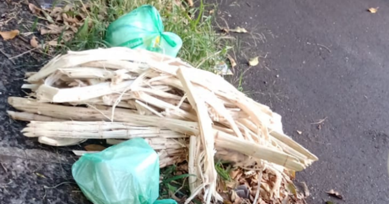 Prefeitura confirma regularidade da coleta de lixo na Vila Velosa
