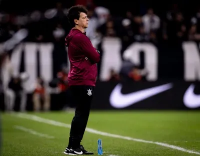 Fernando Diniz cobra melhorias no gramado da Neo Química Arena