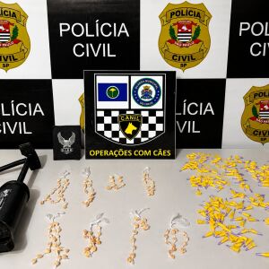 DISE de São Carlos desarticula ponto de tráfico e prende homem com drogas