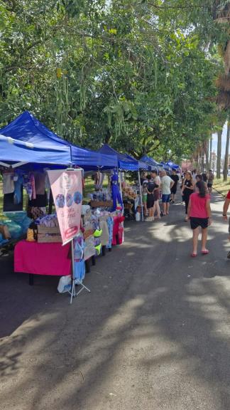 Feiras públicas impulsionam a economia criativa e geram oportunidades em Araraquara