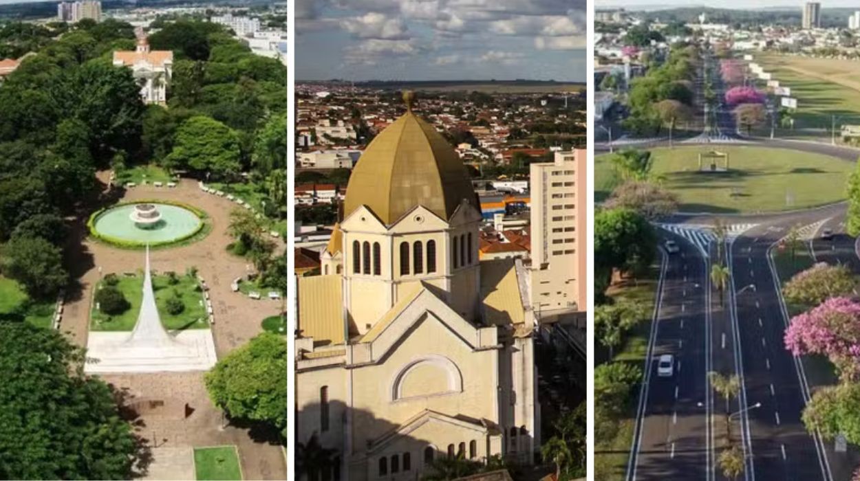 Feriado de 9 de julho: alterações em São Carlos, Araraquara e Rio Claro