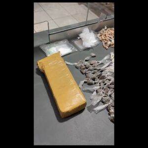 Jovem é detido por tráfico de drogas com vasta apreensão em Descalvado
