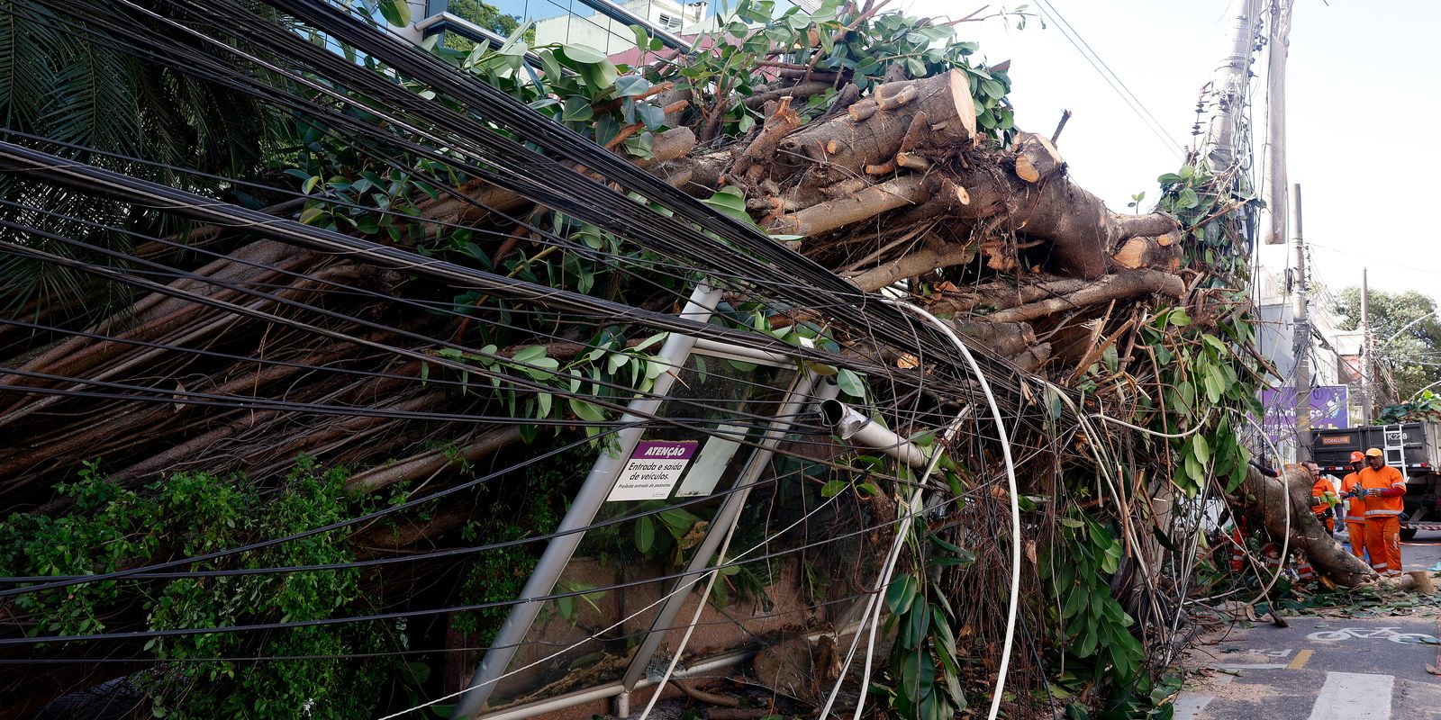 Mais de 200 mil seguem sem luz no Rio de Janeiro após forte vendaval