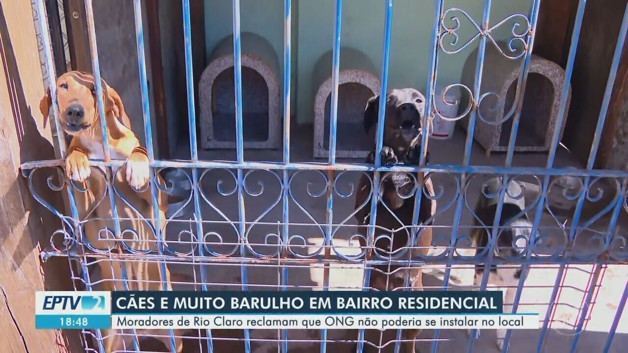 Moradores protestam contra barulho de cães de ONG em Rio Claro