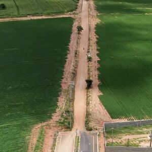 Netto Donato autoriza pavimentação que conectará bairros em São Carlos para impulsionar mobilidade urbana
