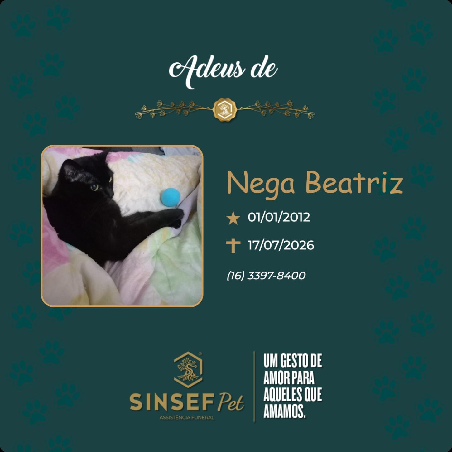 O Grupo Sinsef se despede da Nega Beatriz 