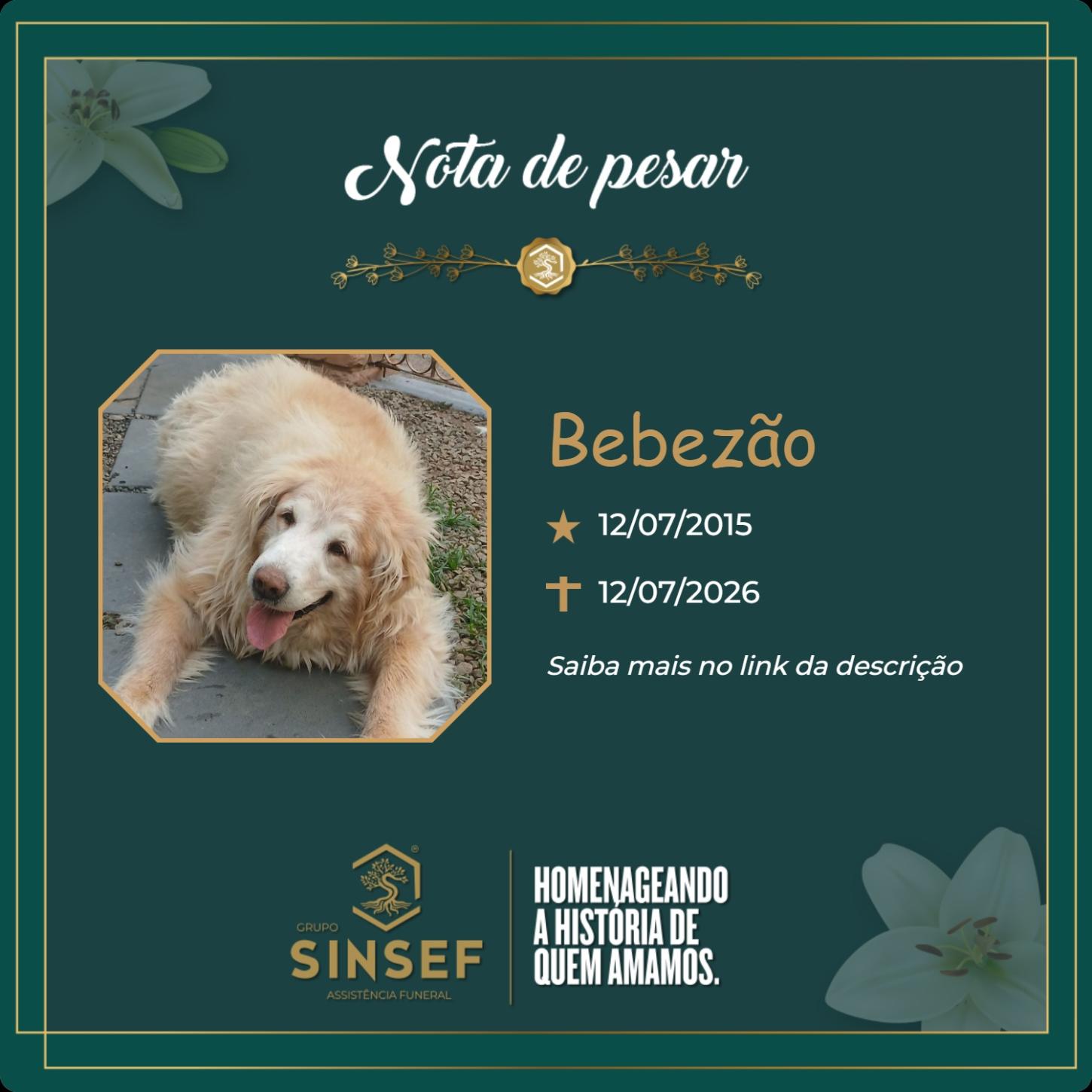 O Grupo Sinsef se despede de Bebezão