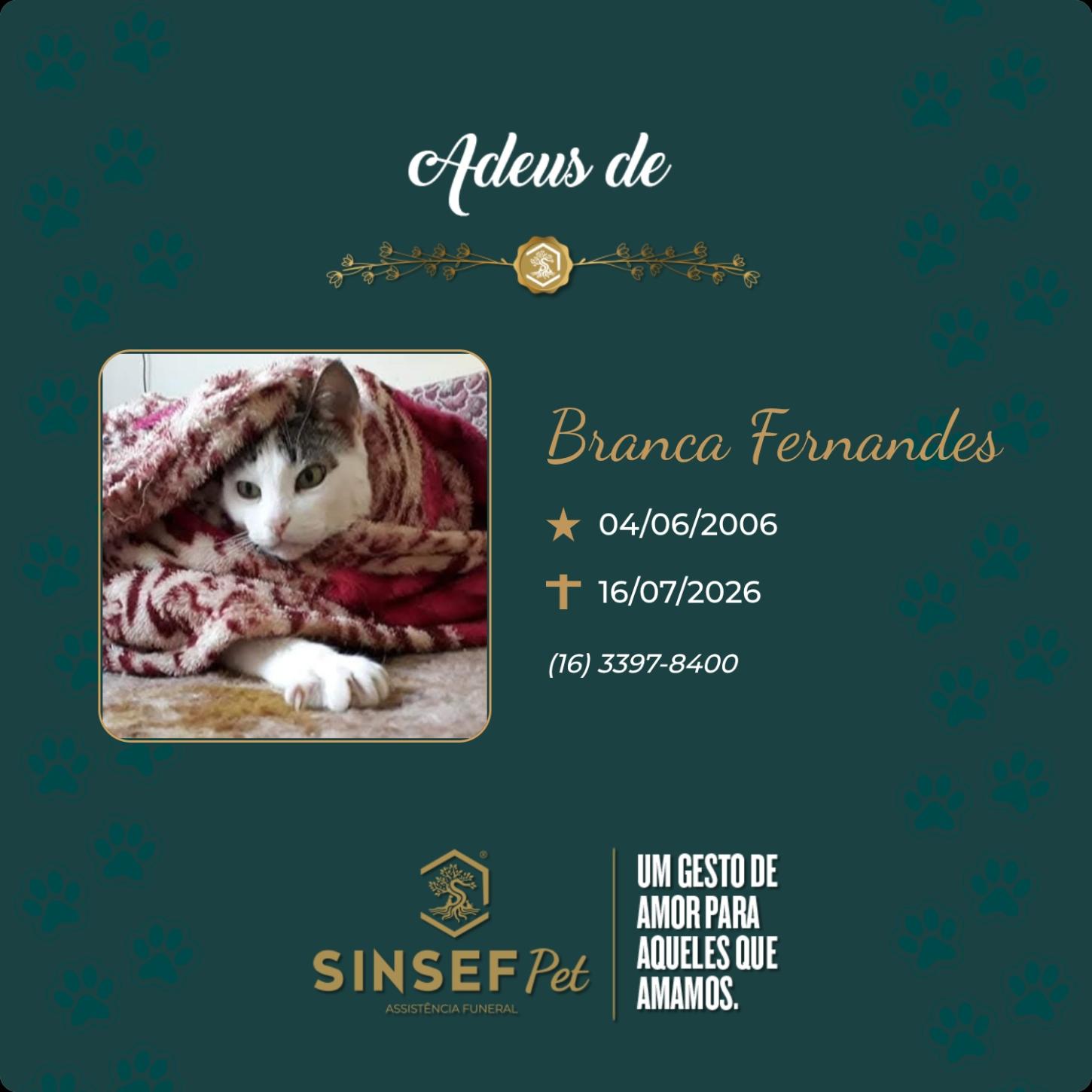O Grupo Sinsef se despede de Branca Fernandes 
