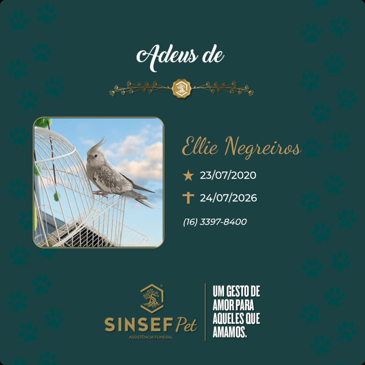 O Grupo Sinsef se despede de Ellie Negreiros