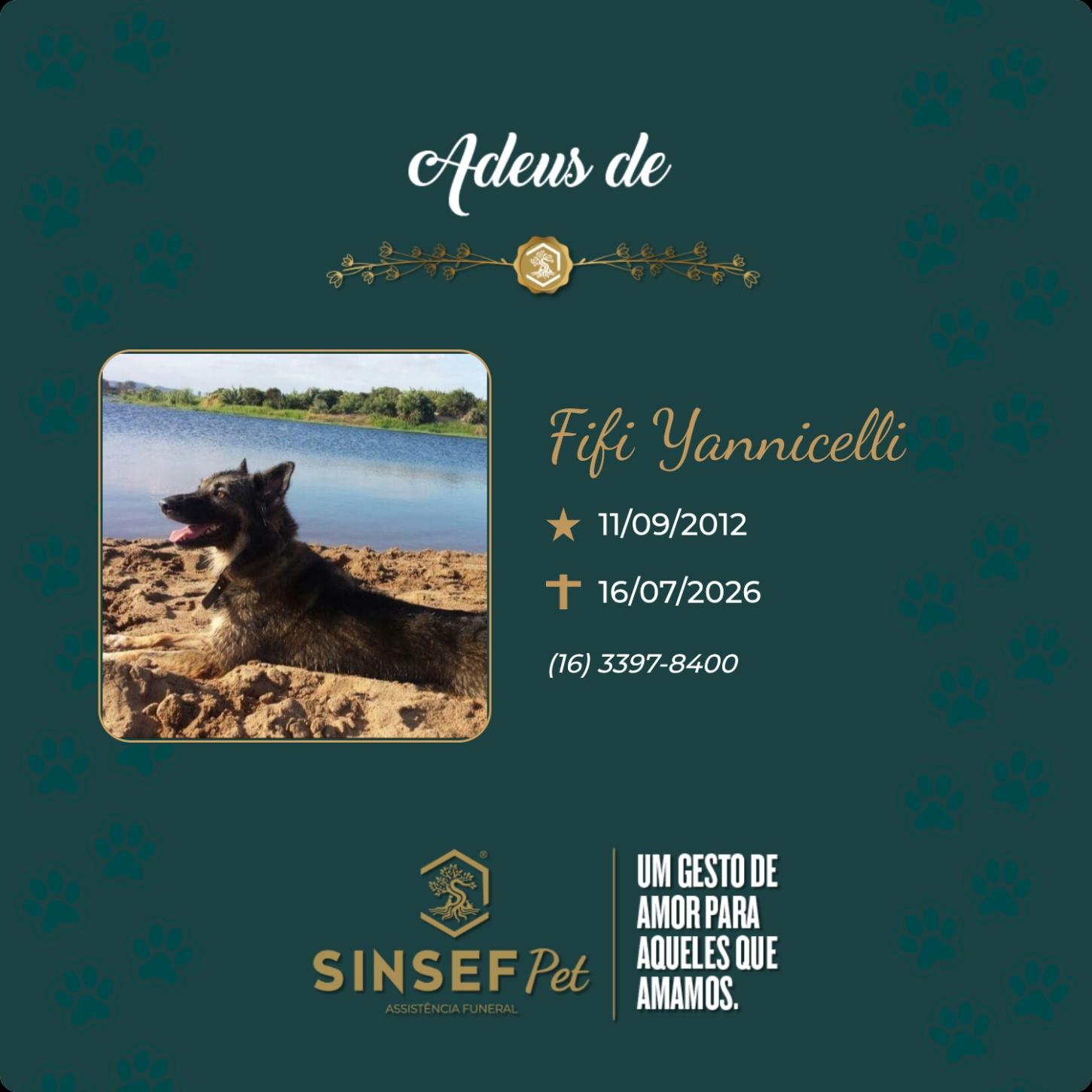 O Grupo Sinsef se despede de Fifi Yannicelli 