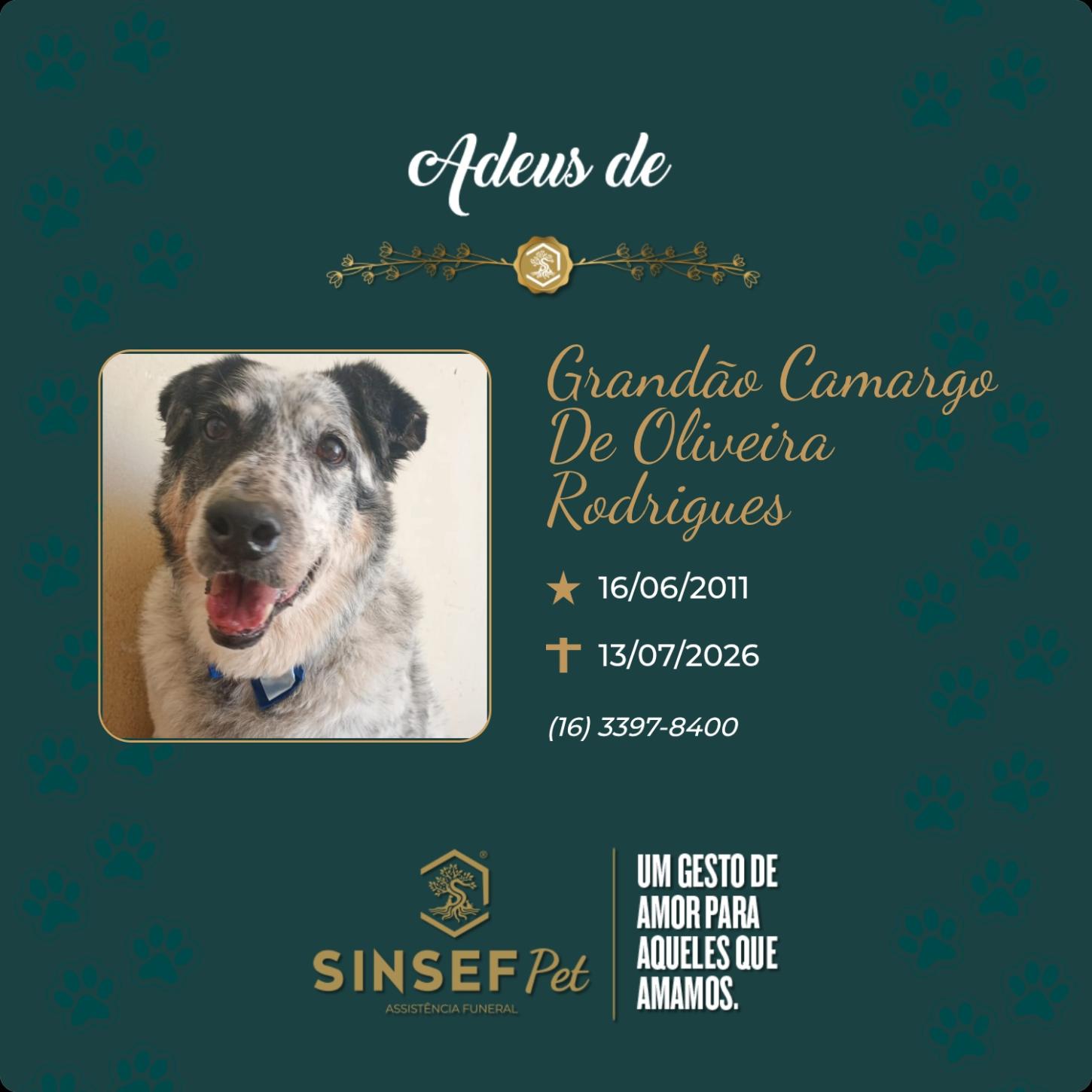 O Grupo Sinsef se despede de Grandão Camargo de Oliveira Rodrigues 
